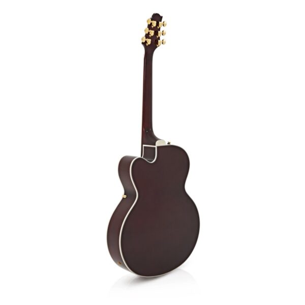 Greg Bennett Lasalle JZ-2 Electric Guitar, Wine Red - 5s